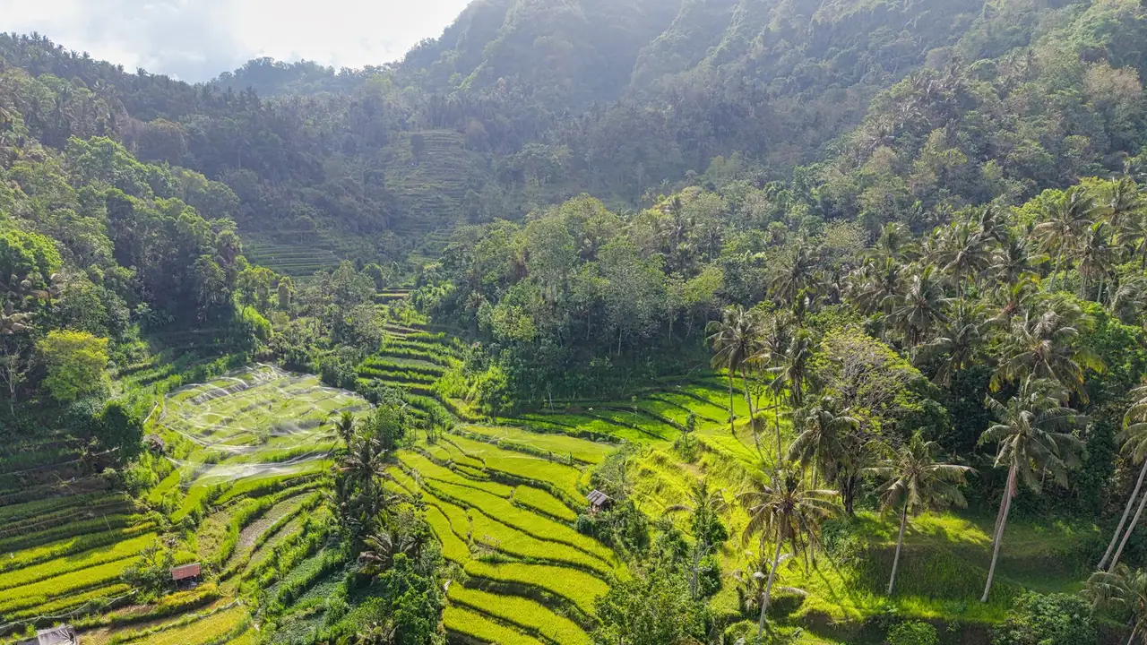 Brisbane - Bali